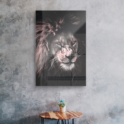 Acrylglas Alu Dibond Beispiel 1