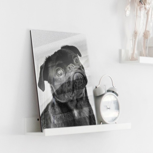 Acrylglas Alu Dibond Beispiel 4