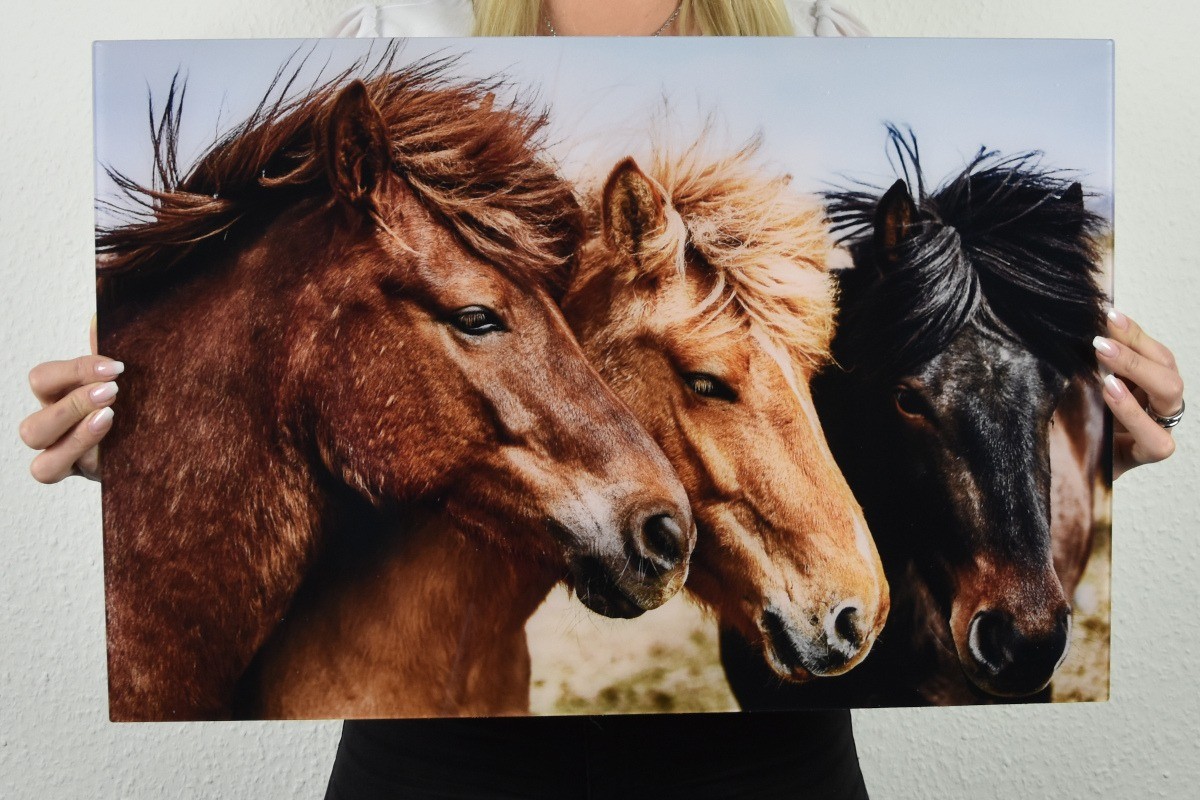 Bilder auf Acrylglas drucken